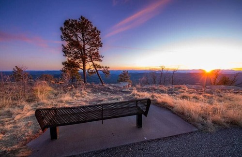Christopher Creek Cabin | Cozy Forest Cabin 2 Birds Nest - Pet & Child Friendly Stay