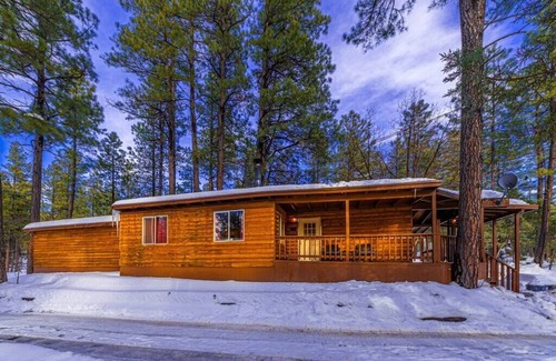 Christopher Creek Cabin | Pet-Friendly Forest Cabin 7: Guest Rated 10/10 Experience