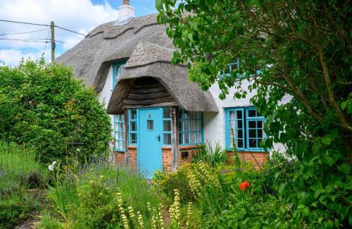 New Forest District House | Welcoming Forest Cottage: Ideal for Families and Pets