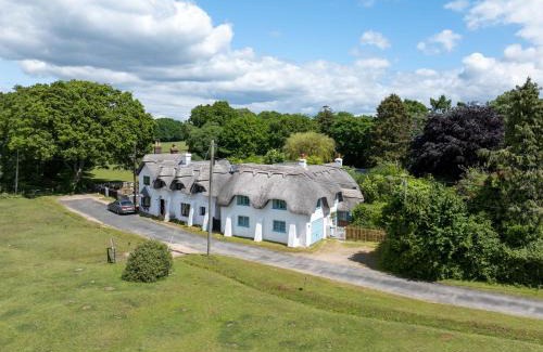 New Forest District House | Welcoming Forest Cottage: Ideal for Families and Pets