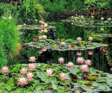 Bois-Jerome-Saint-Ouen Bed & Breakfast | Forest Farm: Family-Friendly Retreat with High Ratings