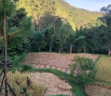 Pua House | Cozy Retreat at Forest Barn - Ideal for Families & Pets