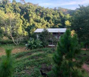 Pua House | Cozy Retreat at Forest Barn - Ideal for Families & Pets