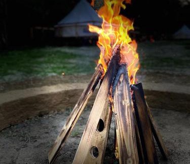 Vulcan Other | Escape to Forest Glamping with Oceanfront Views