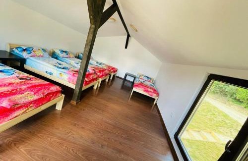 Vulcan Other | Escape to Forest Glamping with Oceanfront Views