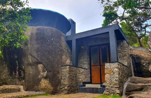 Belihuloya Hotel | Nature-Infused Forest Heaven Eco Resort for Families & Pets