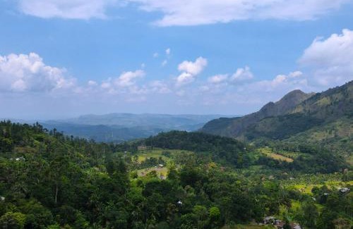 Belihuloya Hotel | Nature-Infused Forest Heaven Eco Resort for Families & Pets