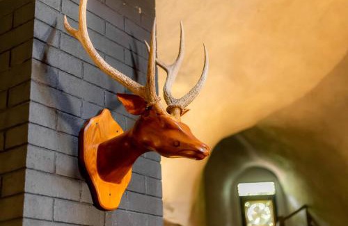Belihuloya Hotel | Nature-Infused Forest Heaven Eco Resort for Families & Pets