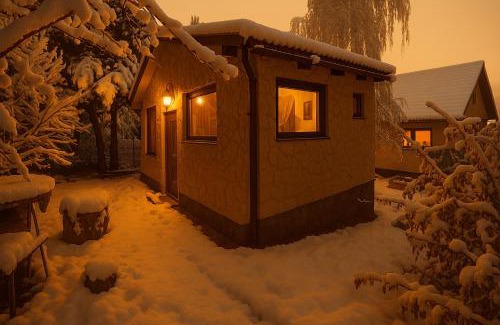 Covasna Villa | Forest Hide Tiny House