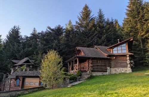 Skhidnytsya Ski Chalet | Forest House: Guest Rated 9.8 & Pet-Friendly Oasis