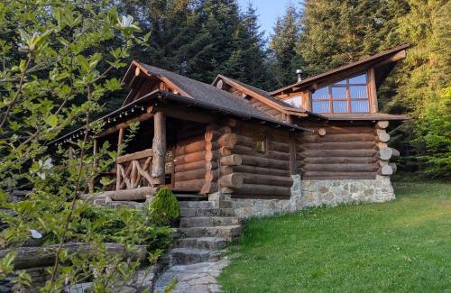 Skhidnytsya Ski Chalet | Forest House: Guest Rated 9.8 & Pet-Friendly Oasis