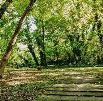 Palic House | Forest House: 4-Star Retreat with Pet-Friendly Amenities