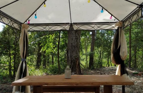 Bigaunciems House | Forest Hut: Oceanfront Retreat with Pet-Friendly Amenities