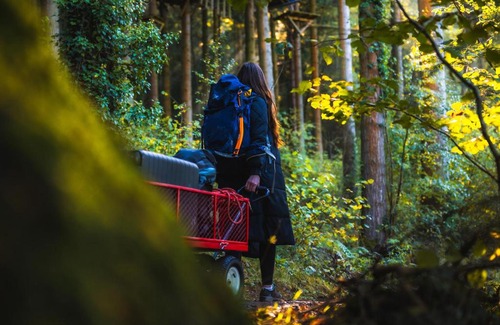 Betws-Y-Coed Cabin | Forest Lodges: Family-Friendly Retreat with Hot Tub Access