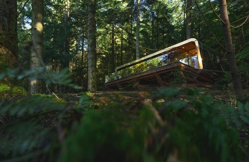 Betws-Y-Coed Cabin | Forest Lodges: Family-Friendly Retreat with Hot Tub Access