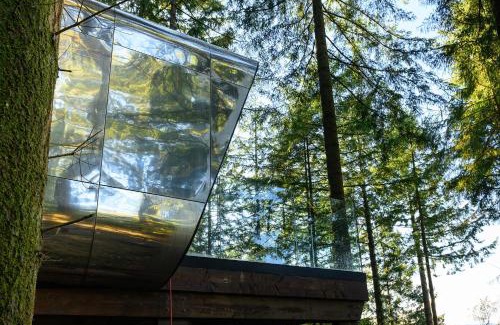 Betws-Y-Coed Cabin | Forest Lodges: Family-Friendly Retreat with Hot Tub Access