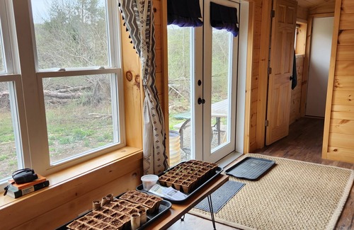 Etna Cottage | Peaceful Forest Moon Cottage - Perfect for Pet Lovers
