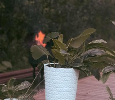 Kaunas County House | Forest Resort House
