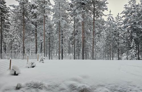 Rovaniemi Apartment | Forest Retreat Apartment