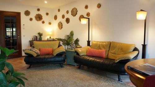 Mira Apartment | Unforgettable Forest Terrace Praia de Mira with Ocean View