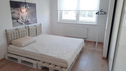 Klaipeda Apartment | Forest view apartment
