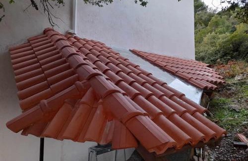 Seta Villa | Explore Forest View House Seta - Guest Rated 10/10