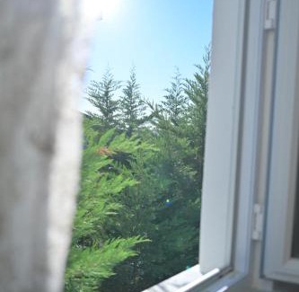 Arnavutkoy Villa | Forest Villa: A Family-Friendly Stay Near Istanbul Airport