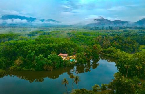 Kothamangalam Resort | Foresta Thattekkadu Pool Resort