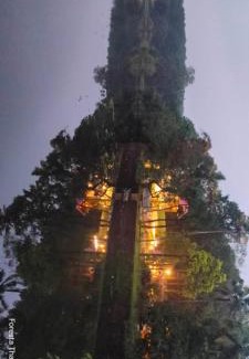 Kothamangalam Resort | Foresta Thattekkadu Pool Resort