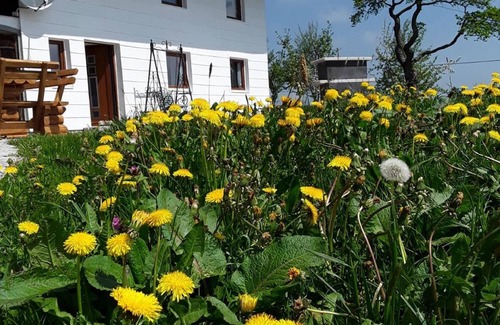 Buchenberg House | Secluded Mountain Farm with Stunning Views and Spa Amenities
