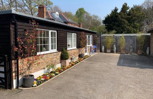 Runnymede House | Exceptional Fornham Guest House - Family Friendly & Inviting