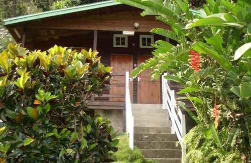 Mavis Bank Cabin | Peaceful Forres Park Nature Retreat with Pool & Spa