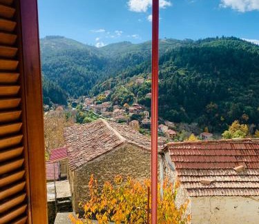 Vamvakou House | Forrest Guesthouse