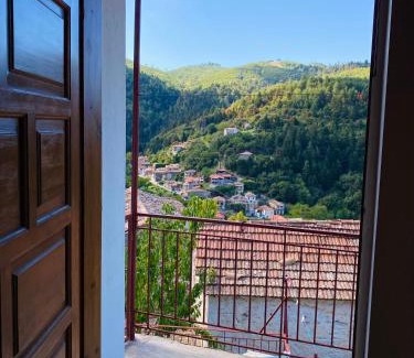 Vamvakou House | Forrest Guesthouse
