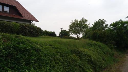 Bad Oeynhausen Hotel | Pet-Friendly Forsthaus Alter Foerster with Ocean View Dining