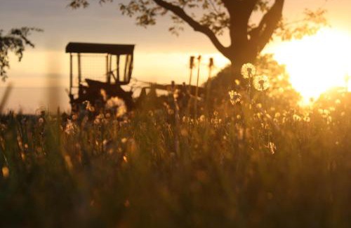 Teterow Apartment | Family-Friendly Forsthof Niendorf: Rated 9/10 with Pets Welcome