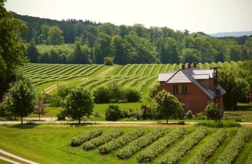 Teterow Apartment | Family-Friendly Forsthof Niendorf: Rated 9/10 with Pets Welcome