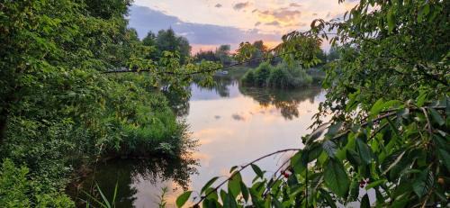 Grodziszcze Bed & Breakfast | Cozy Forteca: Pet-Friendly Rooms by the Tranquil Pond