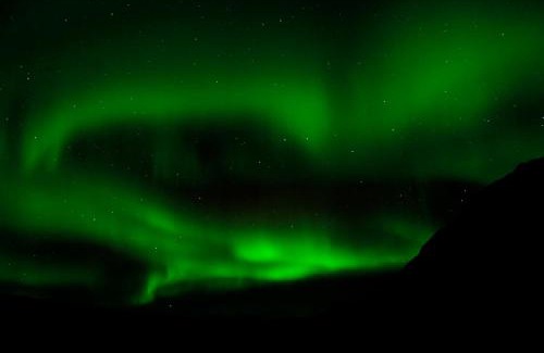 Patreksfjordur Hotel | Explore Fosshotel Westfjords: Pet-Friendly Comfort Awaits