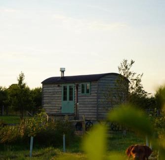 Donaghadee Other | Pet-Friendly Retreat at Four Acres Farm Shepherds Huts