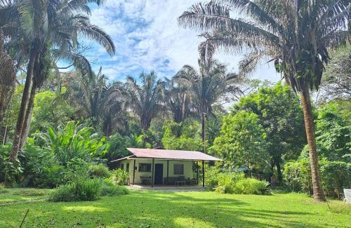 Puerto Jimenez House | Experience Four Monkeys Eco Lodge: Beachfront Bliss Awaits