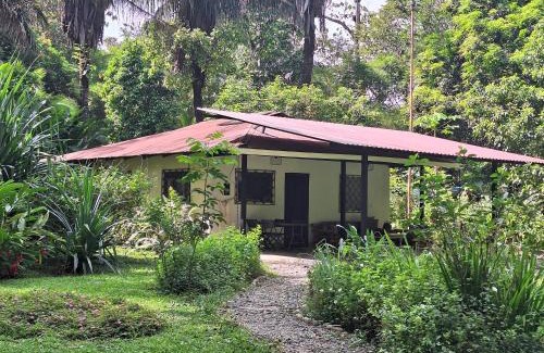 Puerto Jimenez House | Experience Four Monkeys Eco Lodge: Beachfront Bliss Awaits
