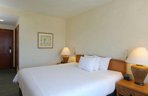 La Caleta Hotel | Enjoy Quality Hotel Real Aeropuerto with Ocean Views