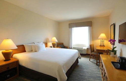 La Caleta Hotel | Enjoy Quality Hotel Real Aeropuerto with Ocean Views
