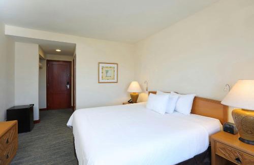 La Caleta Hotel | Enjoy Quality Hotel Real Aeropuerto with Ocean Views