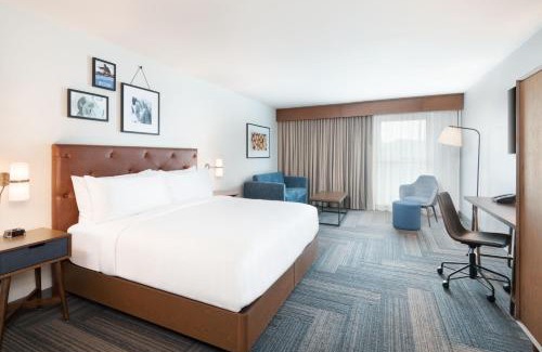 Arcadia Hotel | Pet-Friendly Retreat at Four Points by Sheraton Spartanburg