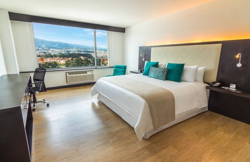 Cuenca Hotel | Eco-Friendly Retreat at Four Points By Sheraton Cuenca