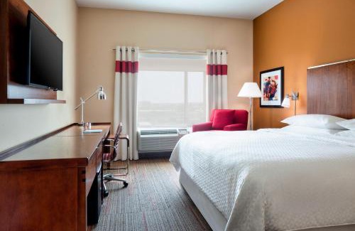 Coppell Hotel | Discover Four Points by Sheraton DFW: Pet-Friendly Comfort