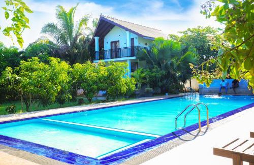 Mihintale Hotel | Relaxing Four Points Resort with Pool & Oceanfront Views