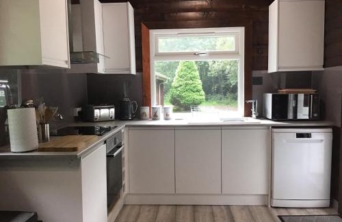 Rashfield Ski Chalet | Cozy Fox Lodge Log Cabin with Oceanfront Views